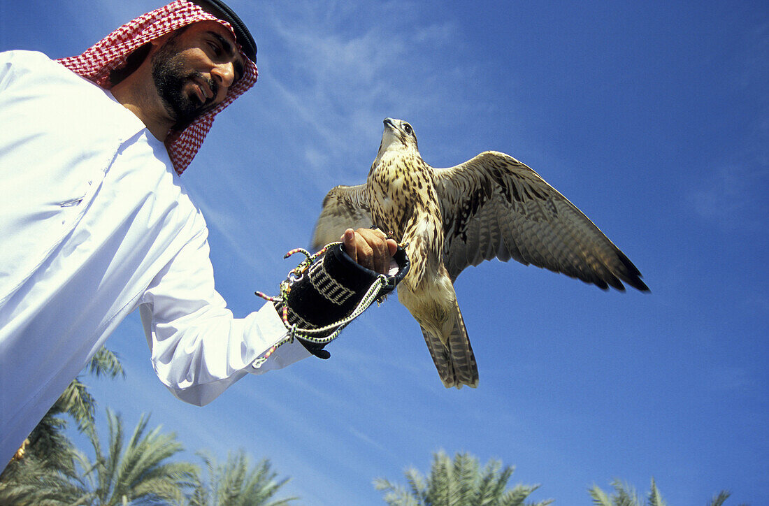 Scheich mit Falken, Dubai, Vereinigte Arabische Emirate