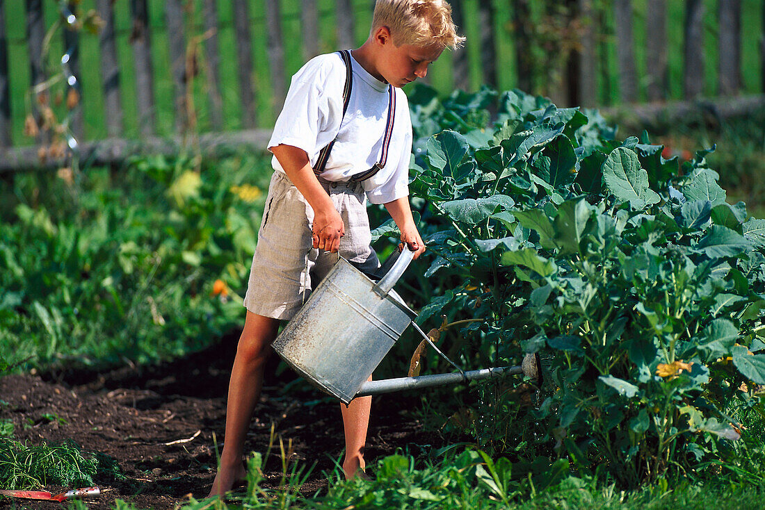 Child waters vegetable patch