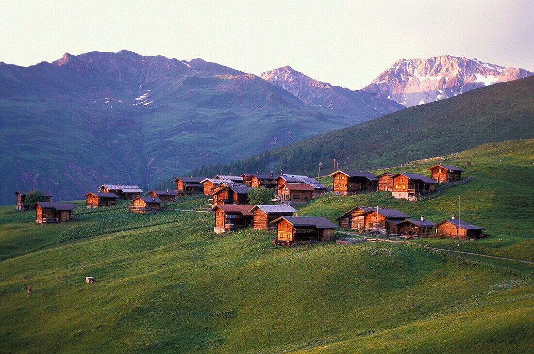 Alpine Huts near Arosa, Graubuenden Switzerland
