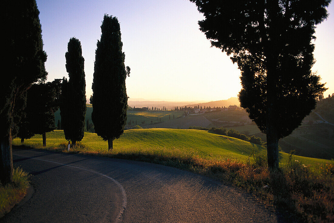 Typisch toskanische Landschaft am Abend, Toscana, Italien