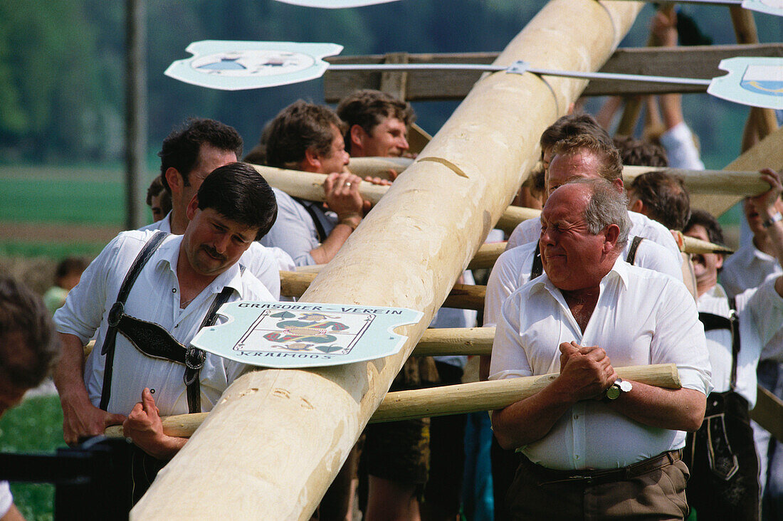 Erecting the Maypole, Maypole Celebration, Kraimoos, Bernau am Chiemsee, Bavaria, Germany