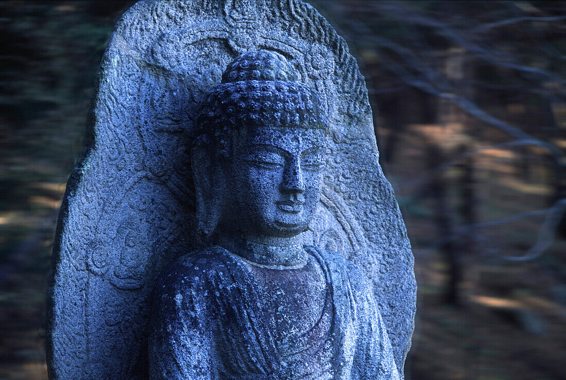 Buddha statue on Namsan Mountain, Gyeongju, Kyongju, Gyeongju, South Korea Asia