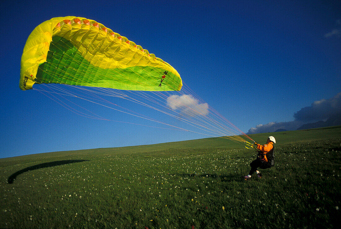 Man with paraglider on a meadow, Abruzzi, Marche, Italy, Europe