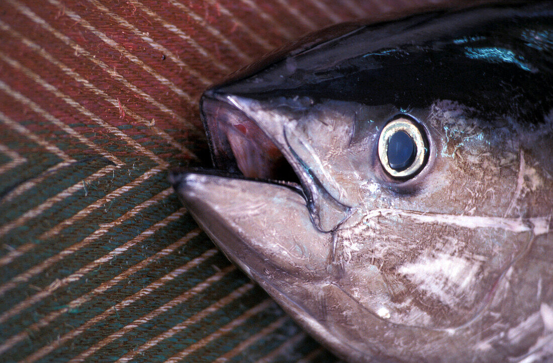 Nahaufnahme von einem Fisch auf dem Fischmarkt, Maskat, Oman, Vorderasien, Asien