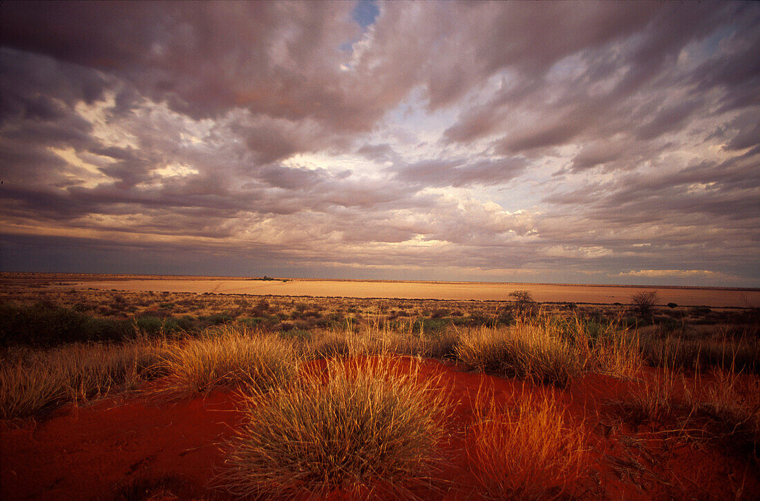 Glowing namibian desert, Namibia, Africa