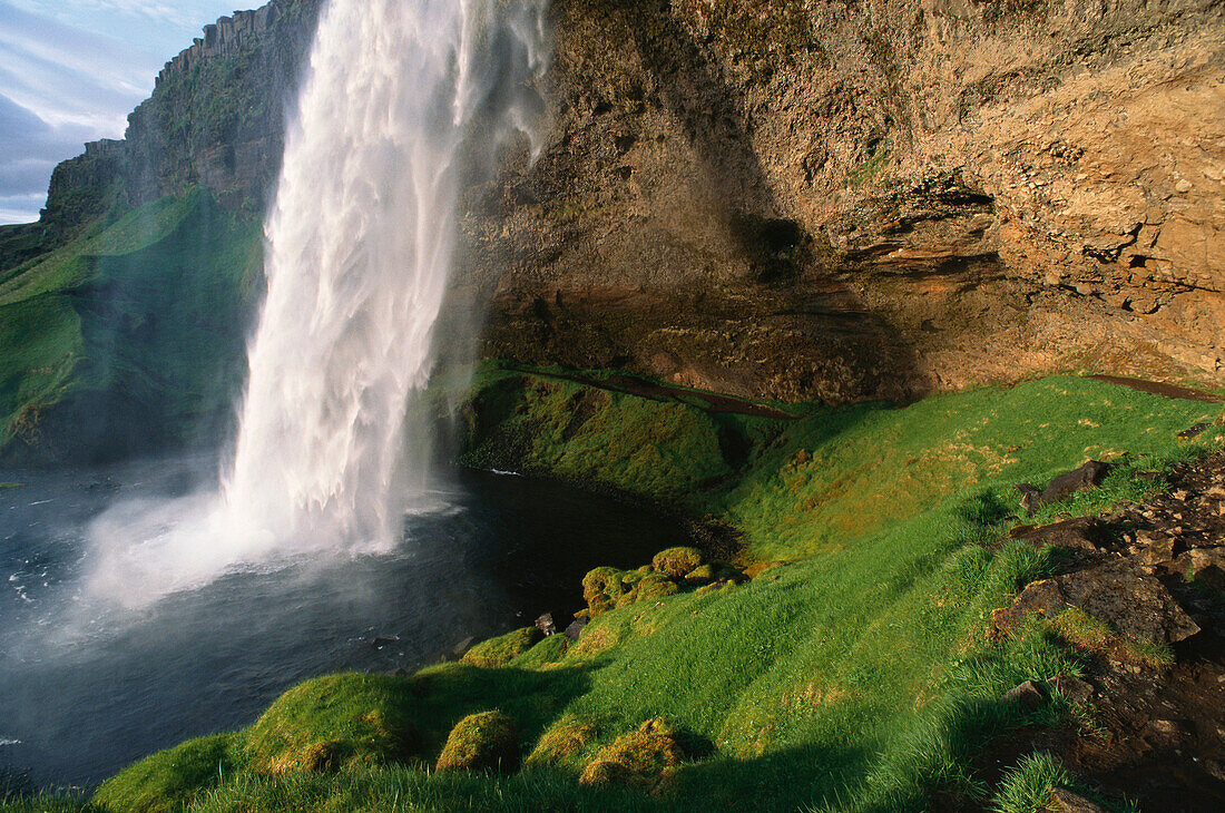 Wasserfall mit irischem Moos, Island, Skandinavien