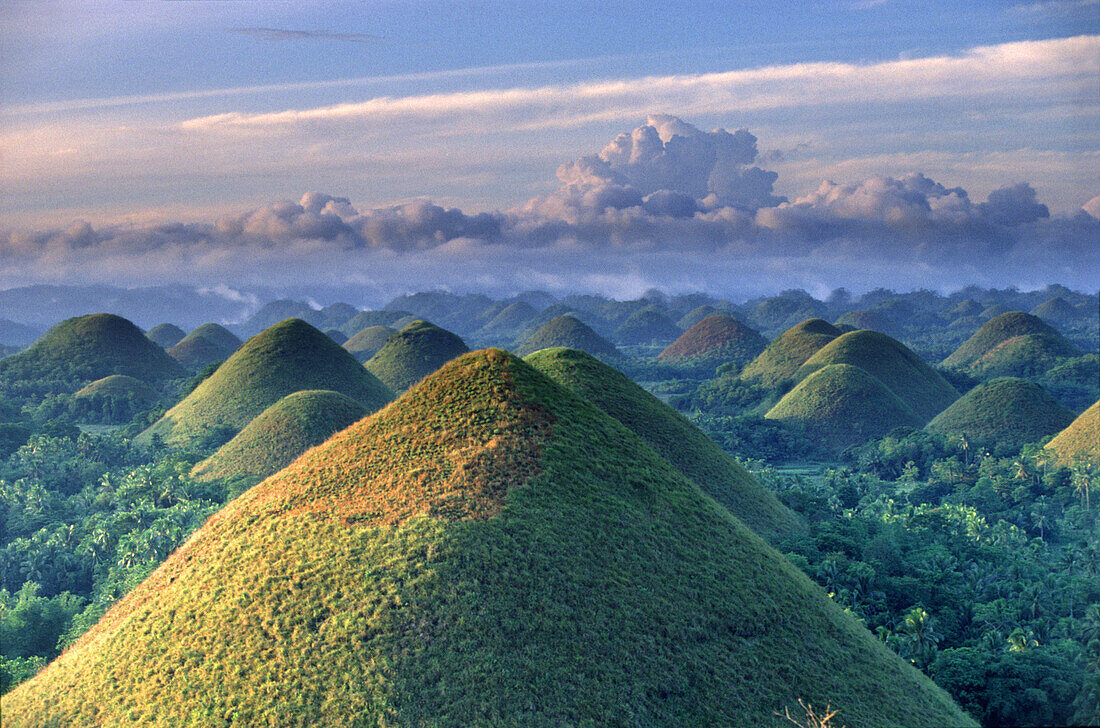 Sonnenaufgang, Schokoladenhügel, Chocolate Hills, Naturwunder, Insel Bohol, Philippinen