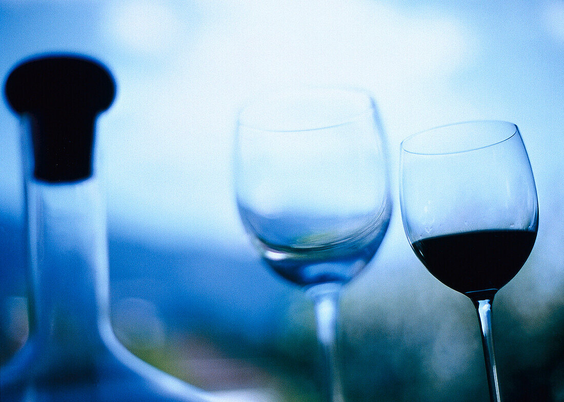 Wine Glasses, Stillife