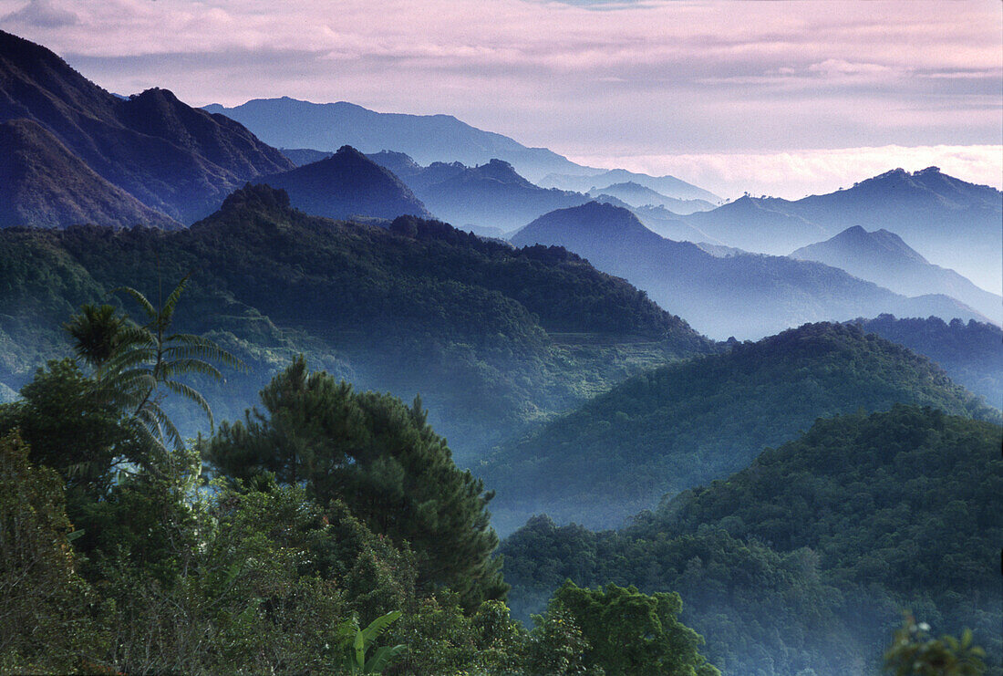 Morgennebel in der Cordilleras Bergen, Berg Provinz, Luzon, Philippinen, Asien