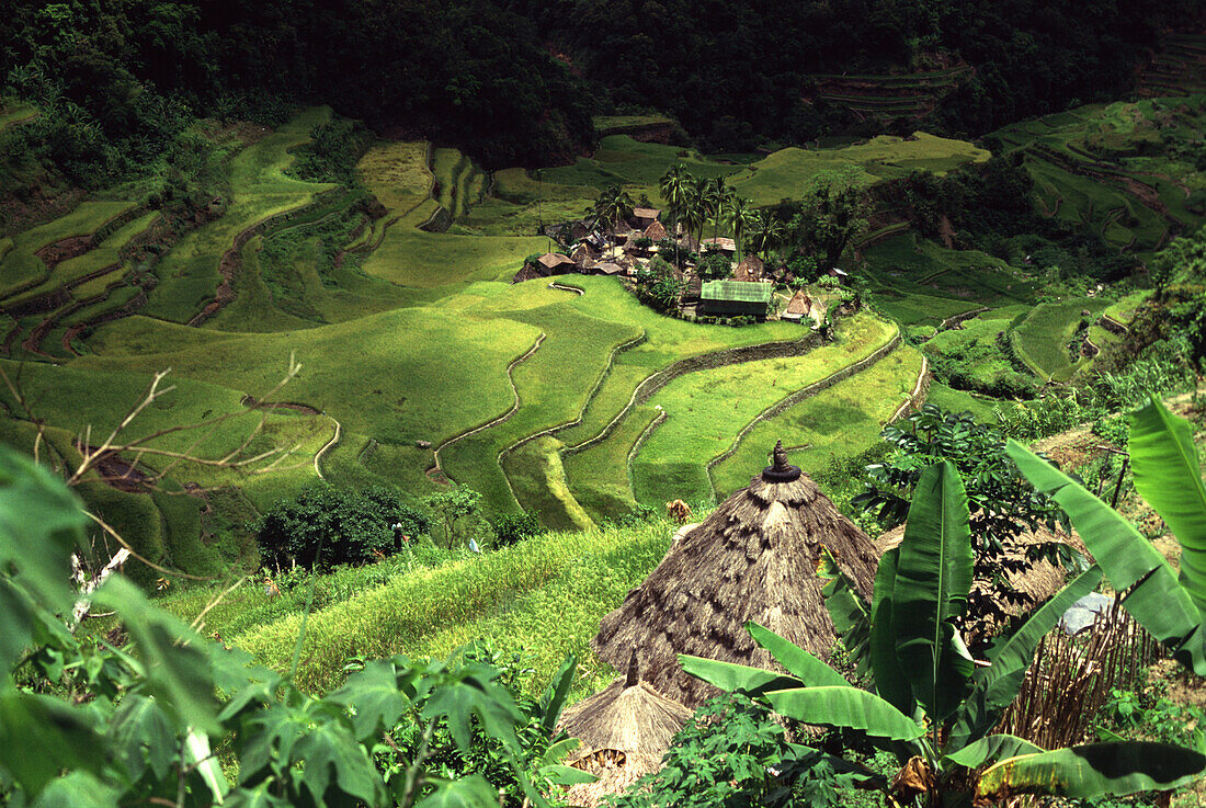 Rice terraces and village, Bangaan-Mountain Province Luzon, Philippines