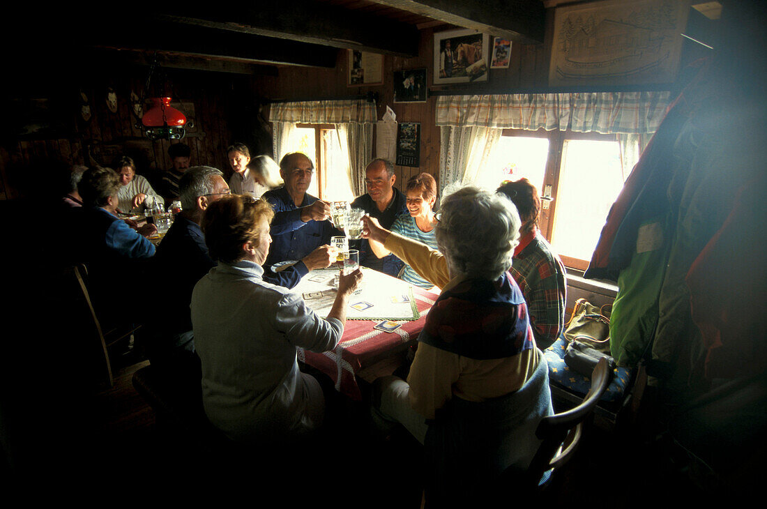 People raising their glasses at Froedinger Alm, Austria