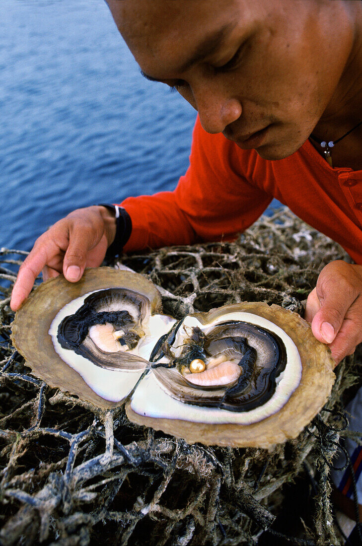 Perlentaucher hält geöffnete Auster mit Perle, Palawan Insel, Philippinen, Asien