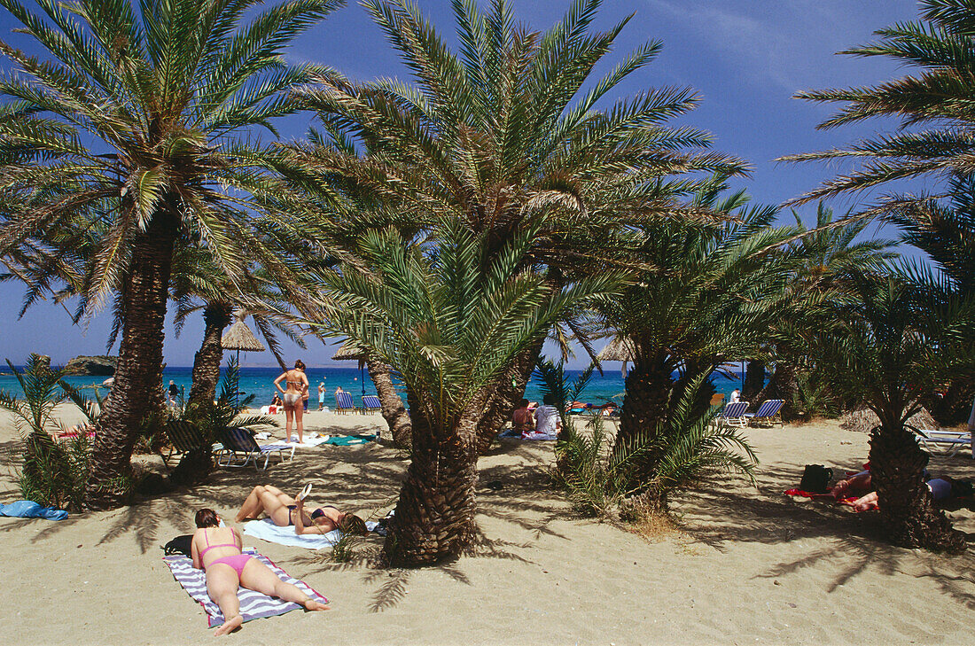 Am Palmenstrand von Vai, Vai Finikodasos, Kreta, Griechenland