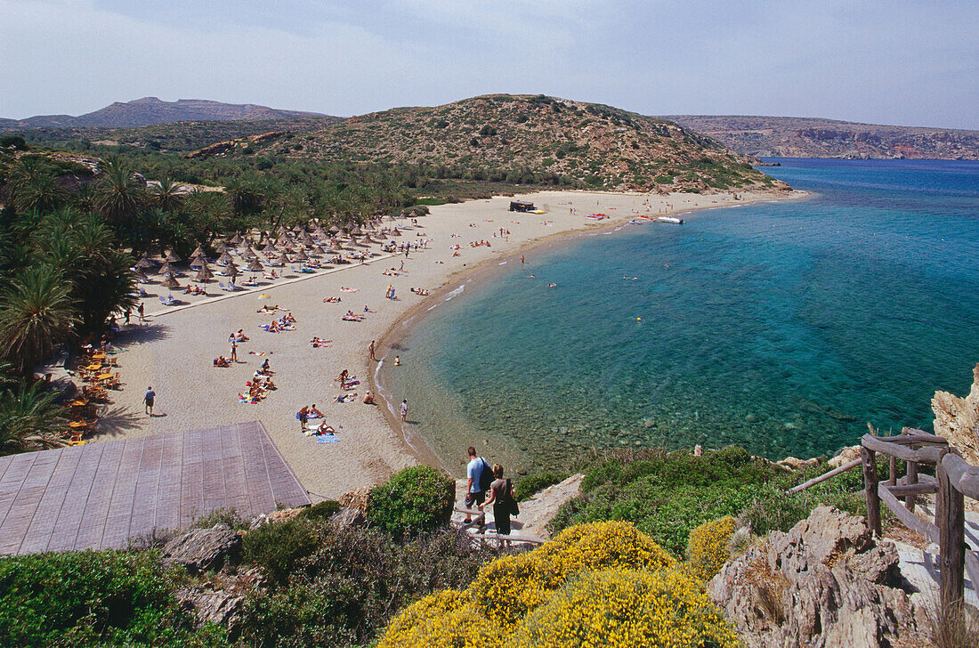 Palm beach of Vai, Vai Finikodasos, Crete, Greece