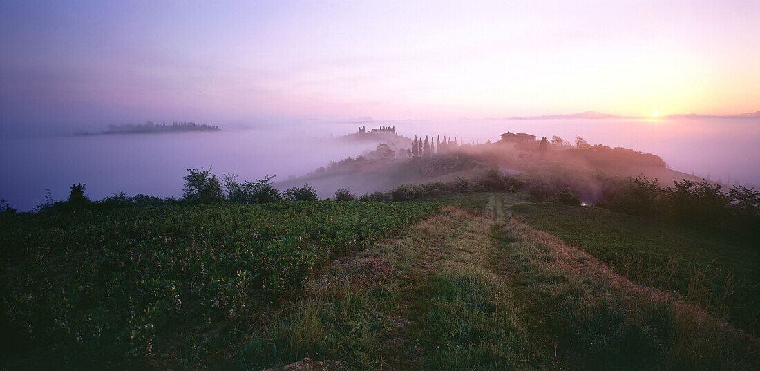 Landscape in the fog near Siena, Tuscany, Italy