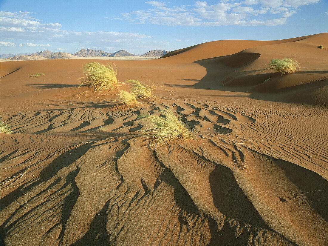 Dunes, Namib Desert, Sossusvlei, Namibia, Africa