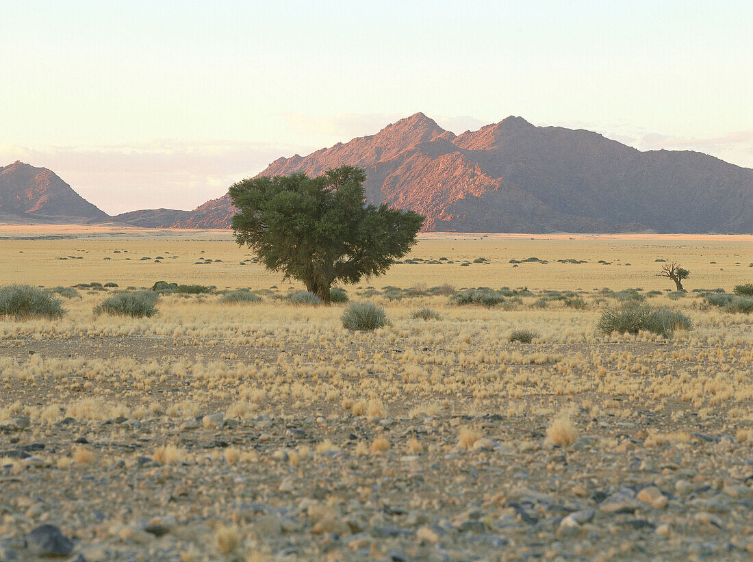 Namibwüste, Sesriem, Namibia, Afrika
