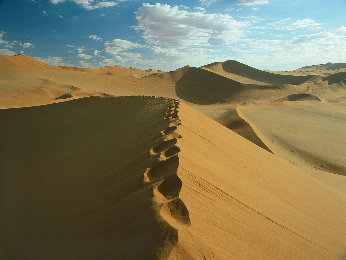 Sossusvlei, Namibia, Africa