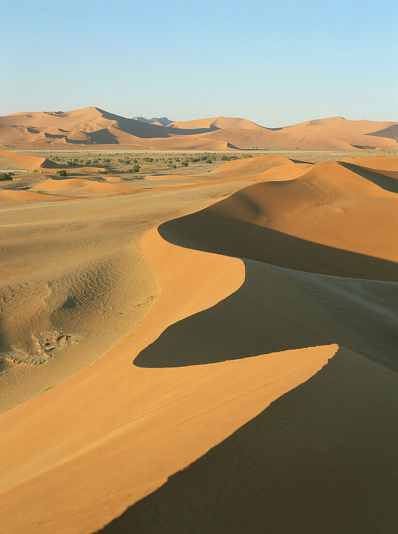 Dünen, Namibwüste, Sossusvlei, Namibia, Afrika