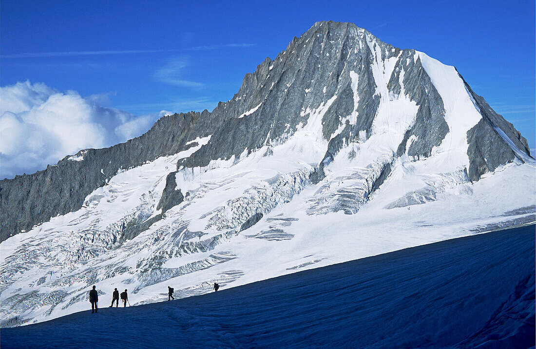 Bergsteiger vor dem Bietschhorn, Baltschieder, Wallis, Schweiz, Alpen