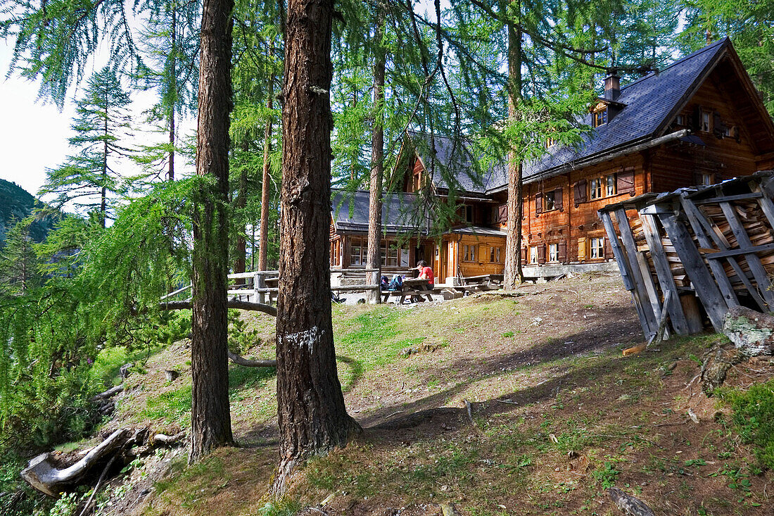 Log-house in a larch tree forest. Cluozza hut, Cluozza Valley, Val Cluozza, Swiss National Park, Engadin, Graubuenden, Grisons, Switzerland, Alps