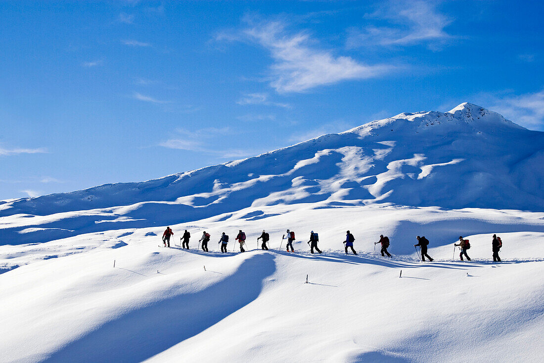 Large group of skialpinists ascending a snowy mountain, Straetscherhorn, Safiental, Grisons, Graubuenden, Switzerland, Alps