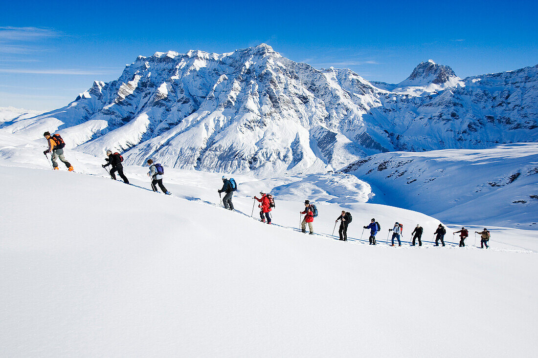 Large group of skiers ascending a mountain, Safiental, Grisons, Graubuenden, Switzerland, Alps
