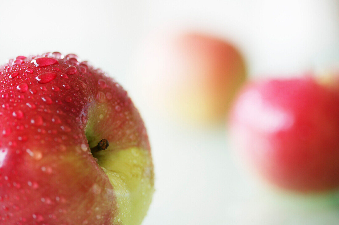 Apples, Stilllife