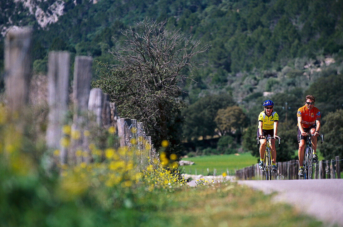 Cyclists, Mallorca