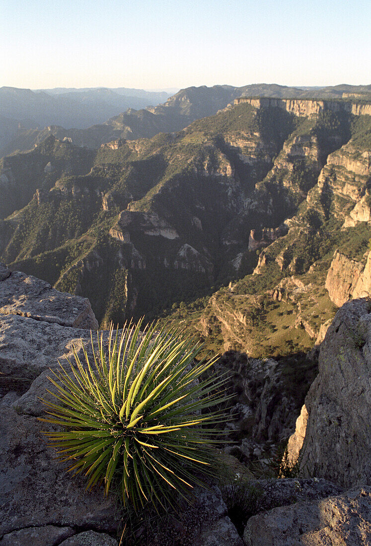Copper Canyon, Divisadero, Chihuahua, Mexico
