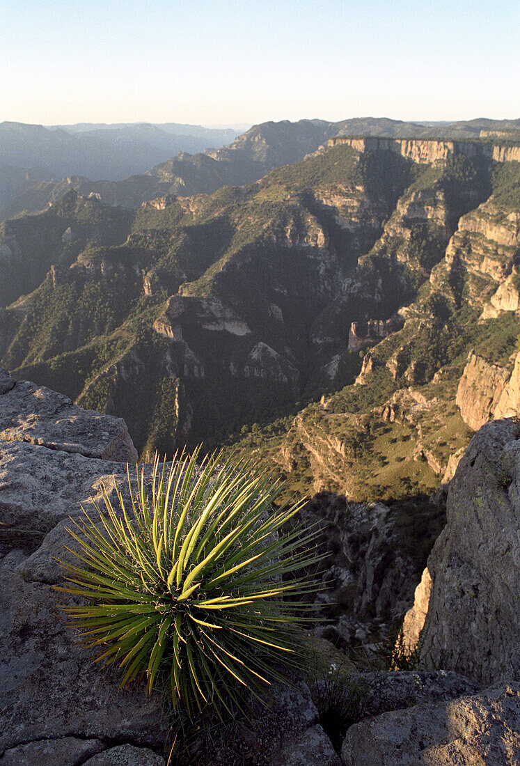 Copper Canyon, Divisadero, Chihuahua, Mexiko