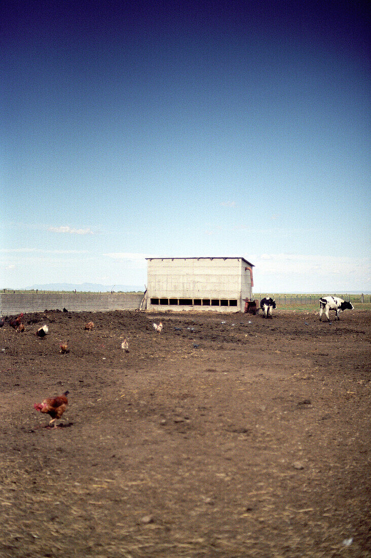 Bauernhof, Cuauth'moc, Chihuahua, Mexiko