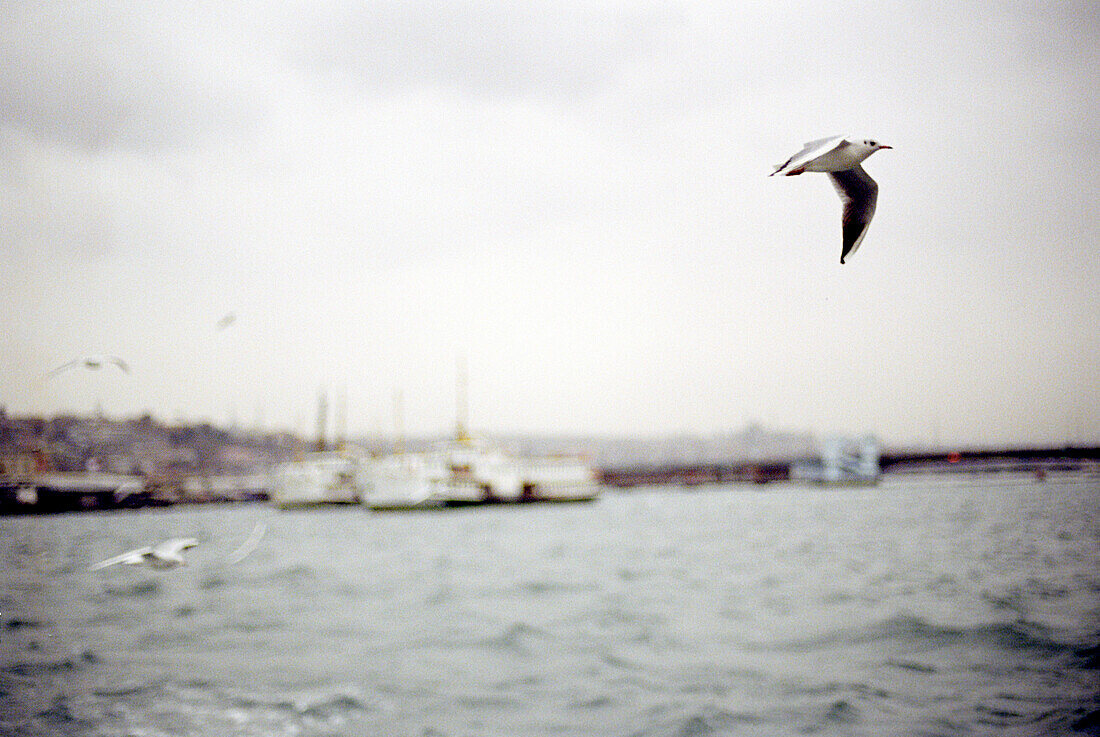 Habour, istanbul, turkey