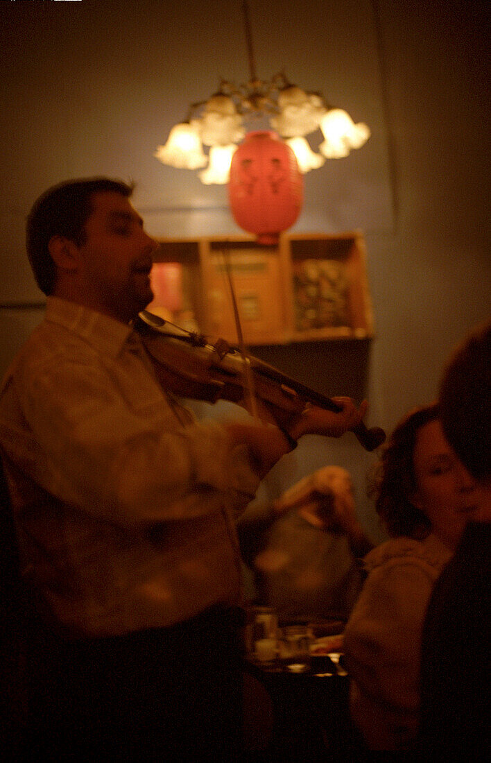 Pub, gypsy musician, istanbul, turkey