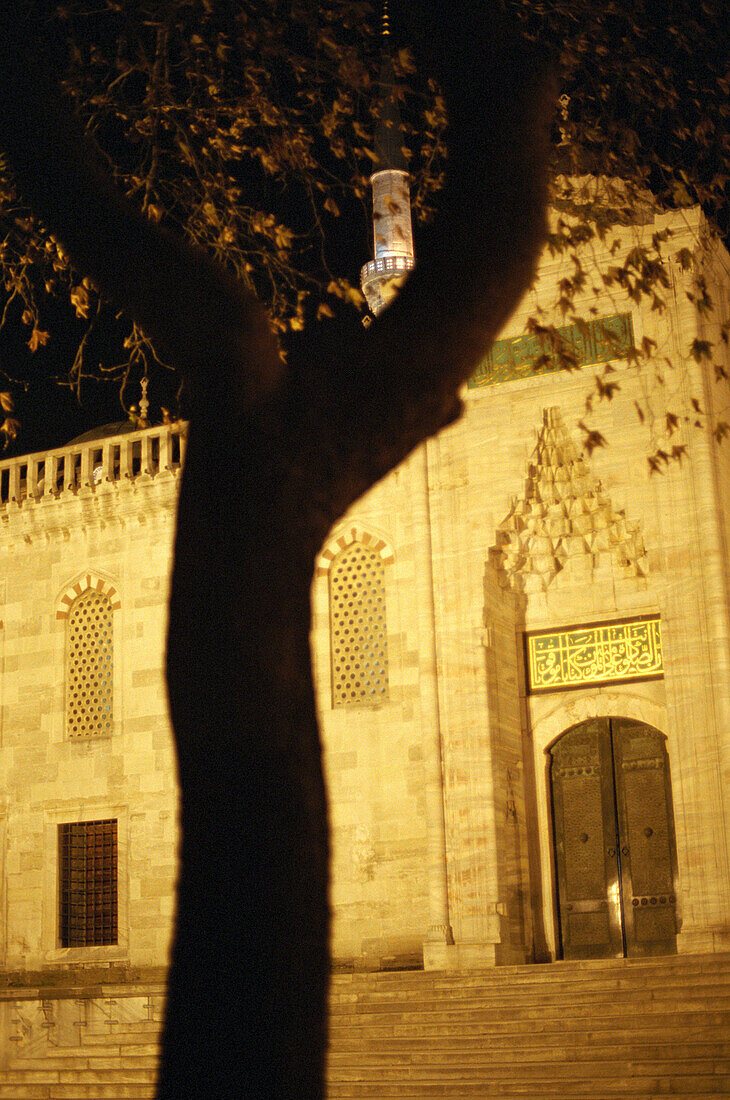 Entrance, Blue Mosque, Istanbul, Turkey