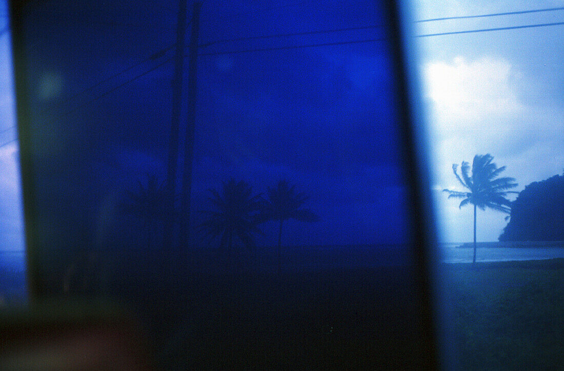 Busfenster, palme, jamaika, Karibik