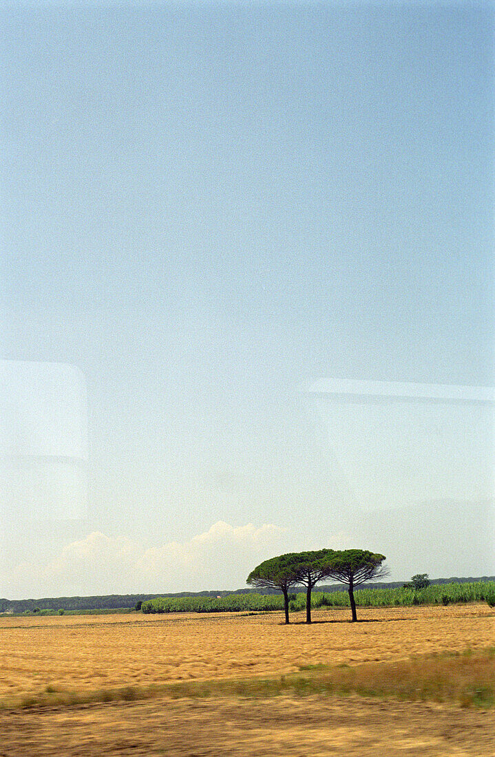 Landschaft aus zugfenster, Umbria, Italy