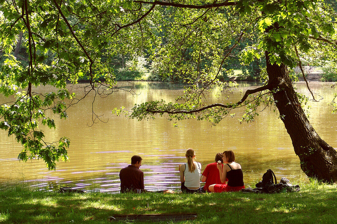Junge Leute unter einem Baum im Park, Leipzig, Sachsen, Deutschland, Europa