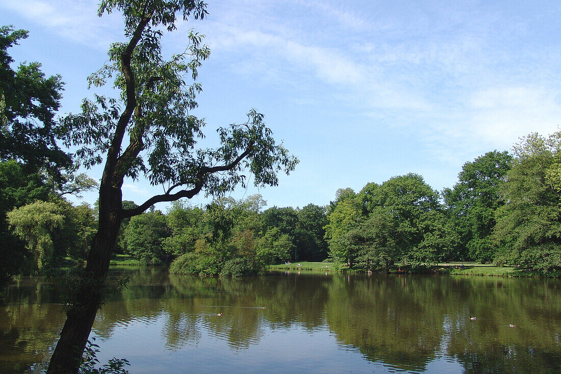 Idyllic lake at a park, Leipzig, Saxony, Germany, Europe