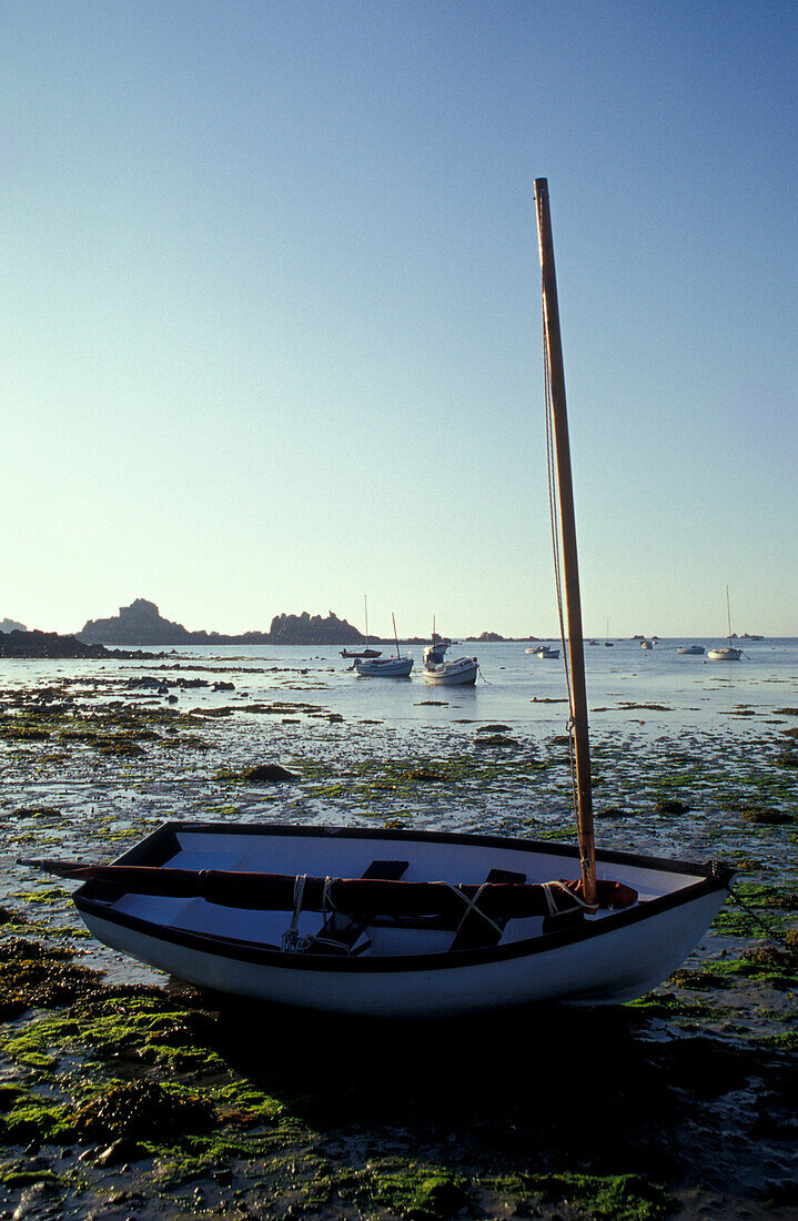 Boat on the beach, Port Scarff, Brittany, France