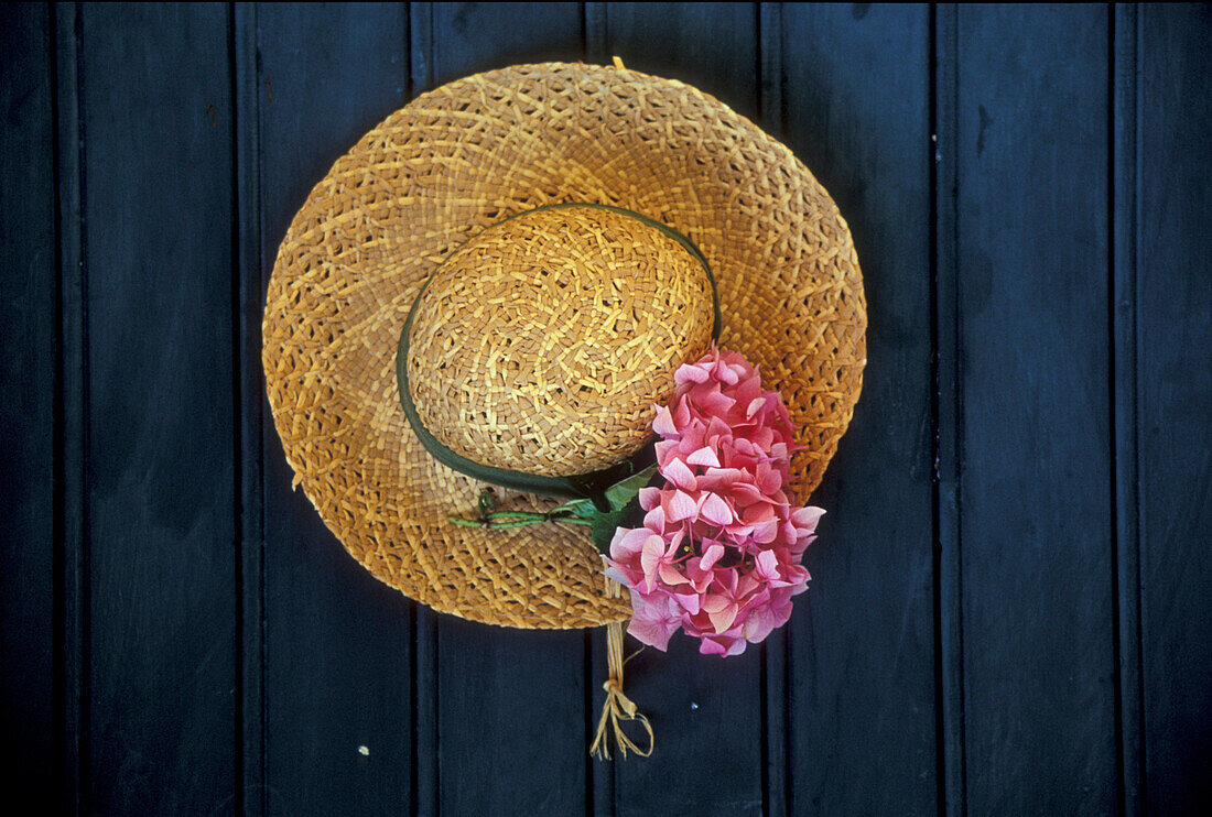 Hat on wooden wall, Dinan, Brittany, France