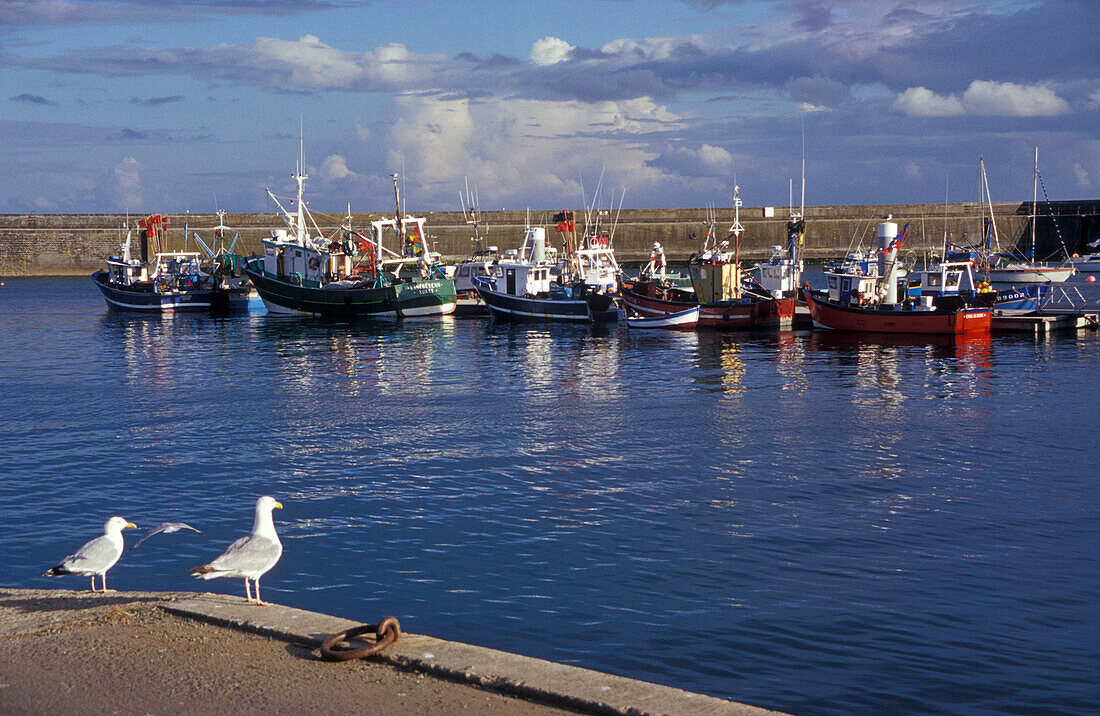 Quiberon, Brittany, France