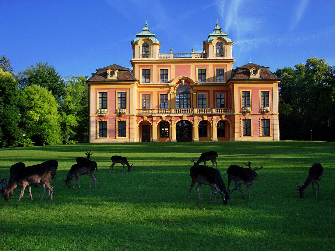 Schloss Favorite with deer, Ludwigsburg, Germany