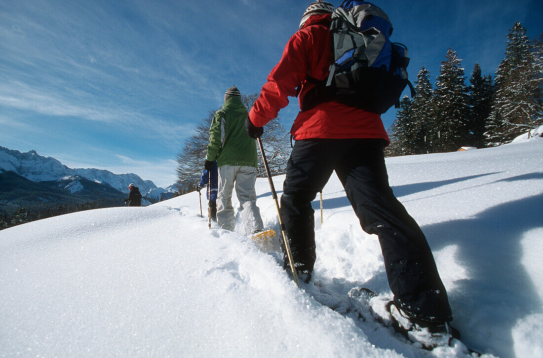 Familie beim Schneeschuhlaufen, Deutschland, Ellmau, Garmisch-Partenkirchen