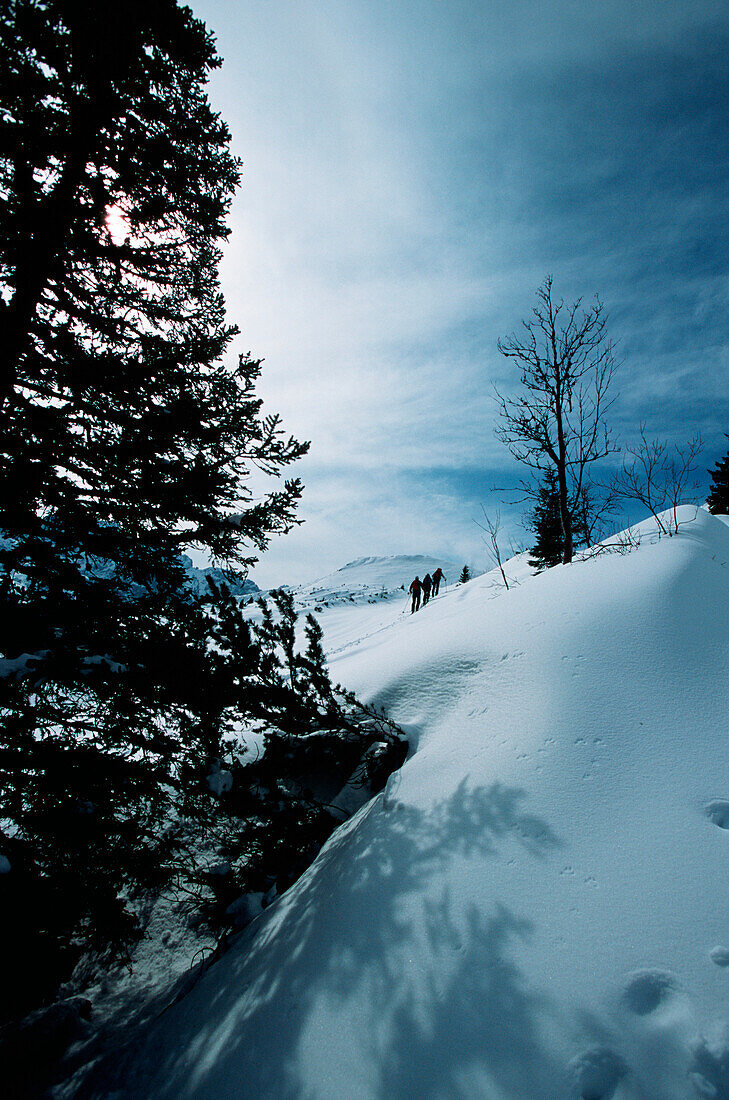 Skiing tour, rear view, Stuibenkopf, Garmisch Partenkirchen, Germany