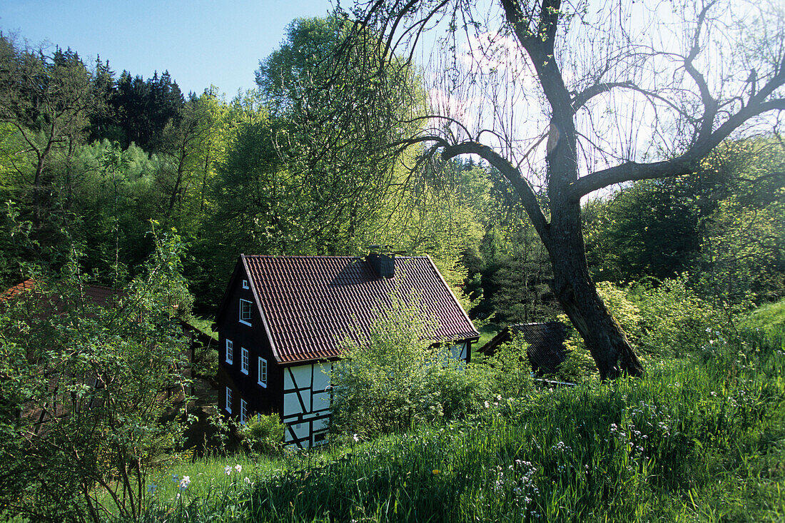 Typisches Fachwerkhaus mit Garten, Rhön, Hessen, Deutschland