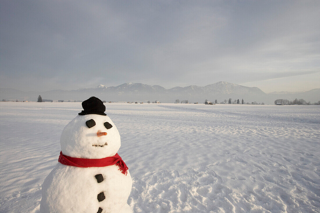 Snowman with knit hat and scarf, Bavarian Uplands