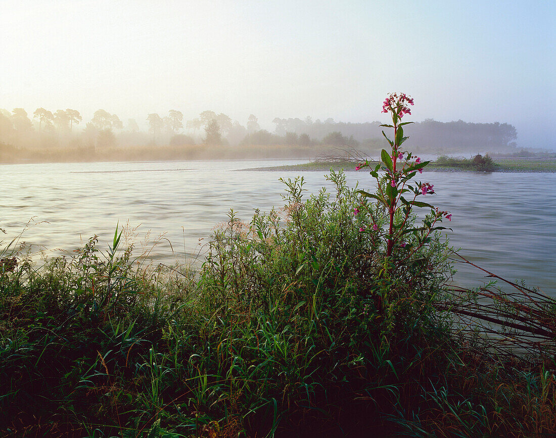 River Isar near Wolfratshausen, Upper Bavaria, Germany