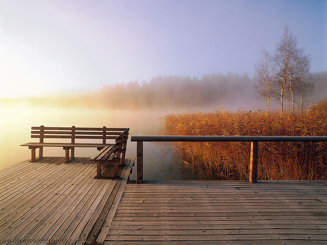 Jetty in early morning fog, Osterseen, Upper Bavaria, Germany