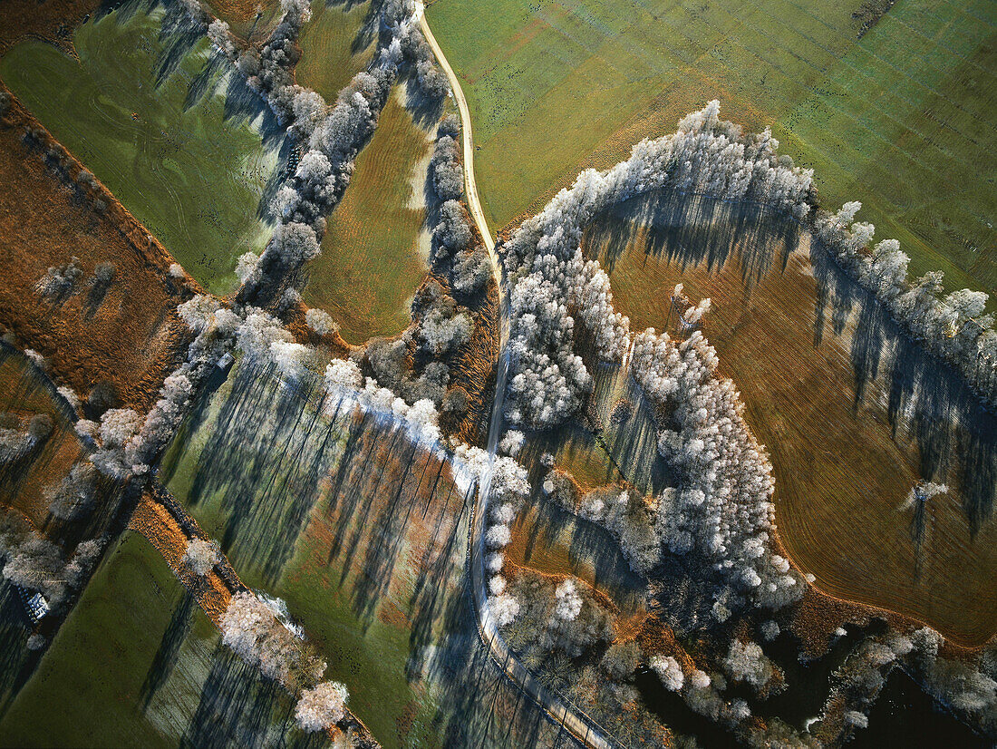 Luftaufnahme, Kochelseemoor, Oberbayern, Deutschland